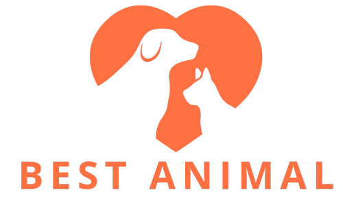 Best Animal